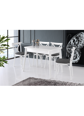 MERCAN MASA 2127+9203   AYTAŞI BAHAR SANDALYE