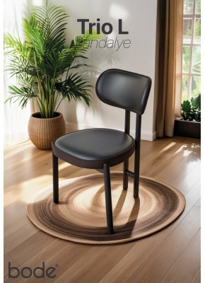 Sandalye TRİO L SALON 2404D+9415